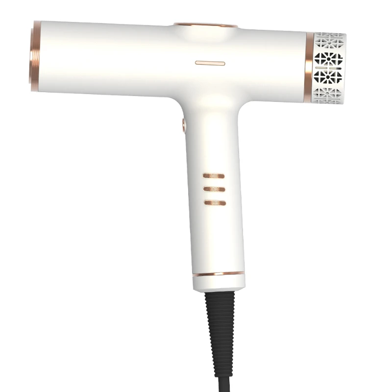 F03 lightweight BLDC hair dryer